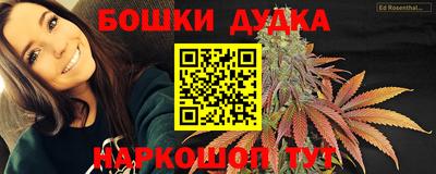 крисы Краснознаменск