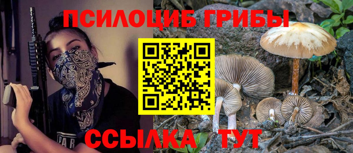 Элиста  наркота  Вход с VPN  Псилоцибиновые грибы Psilocybine cubensis 