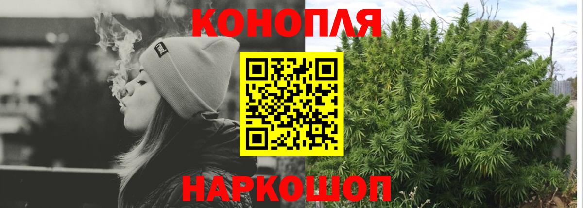 Конопля план Элиста
